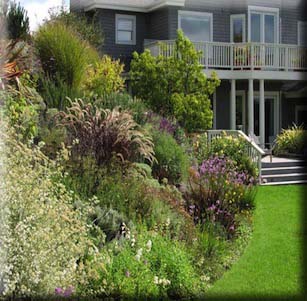 Back Yards