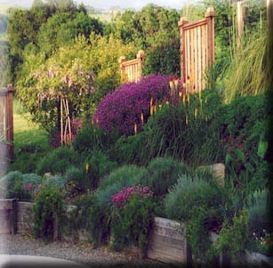 Sonoma Xeriscape