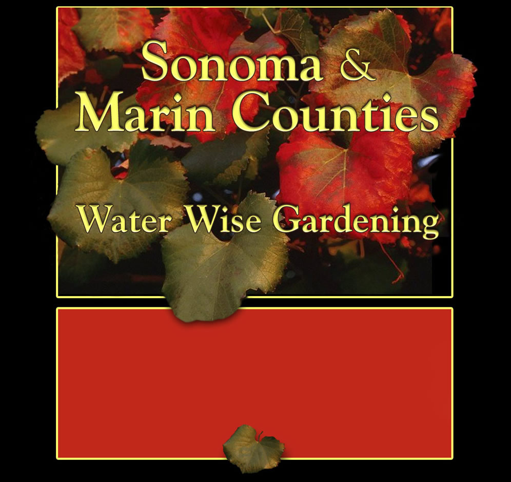 Opening Screen Water Conservation